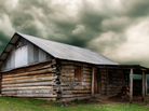 Cabin in the woods Cabin in the woods
